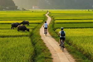 Hanoi: Utforska Tam Coc med bambubåt och besök fågelparken