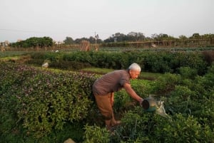 Hanoi Farm Tour and Cooking Class with Local Family