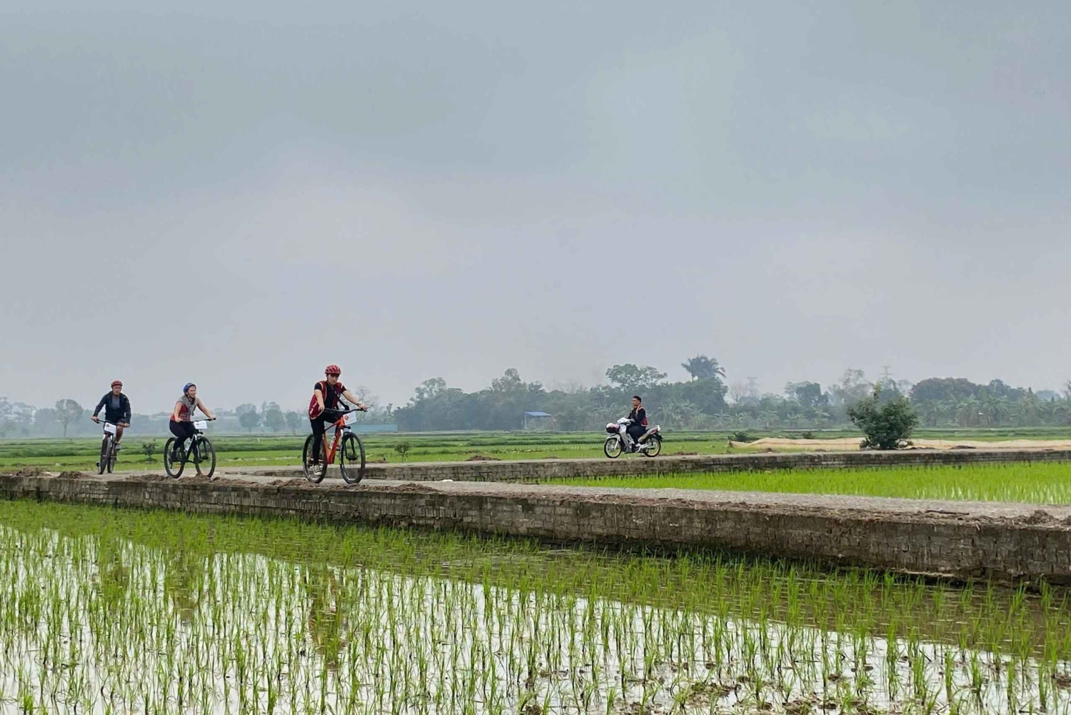 Hanoi: koko päivän pyöräretki Bat Trangiin ja Co Loaan naisten opastuksella