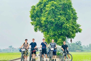 女性がご案内するバチャン村へのハノイ自転車1日ツアー