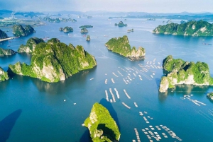 Hanoi: Crucero de día completo por la bahía de Halong con travesía a nado y en kayak