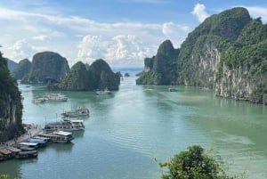 Hanói: Excursão de 1 dia pela Baía de Halong com natação e caiaque