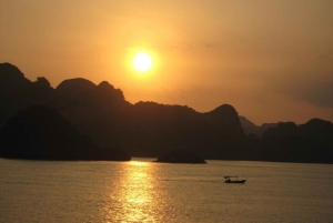 Hanoi : Croisière d'une journée dans la baie d'Halong avec baignade et kayak