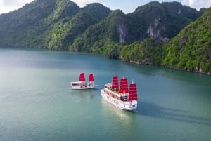 Hanoi: Full-Day Luxury Ha Long Bay Cruise with Meals