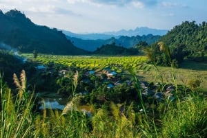 From Hanoi/Mai Chau: Full-Day Mai Chau Group or Private Tour
