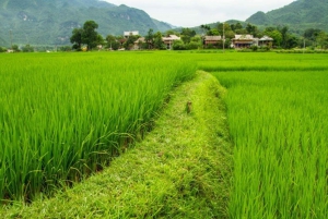 From Hanoi/Mai Chau: Full-Day Mai Chau Group or Private Tour