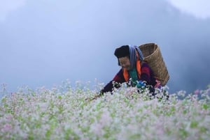 Hanoi: tour di 3 giorni a Ha Giang con giro in barca sul fiume Nho Que