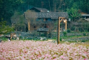Hanoi: tour di 3 giorni a Ha Giang con giro in barca sul fiume Nho Que
