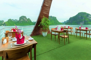 Hanoi: Ha Long & Bai Tu Long Bay Luxury 1-Day Tour