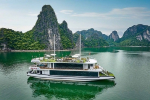 Hanoi: Ha Long Bay Tagesausflug - Luxuskreuzfahrt & Mittagsbuffet