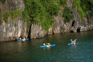 Hanoi: Ha Long Bay Tagesausflug - Luxuskreuzfahrt & Mittagsbuffet