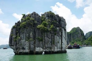 Hanoi: Ha Long Bay Tagesausflug - Luxuskreuzfahrt & Mittagsbuffet