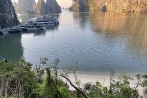 Hanoi: Ha Long Bay Tagesausflug - Luxuskreuzfahrt & Mittagsbuffet