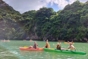 Hanoi: Ha Long Bay Tagesausflug - Luxuskreuzfahrt & Mittagsbuffet