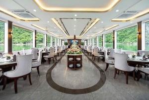 Hanoi: Ha Long Bay Tagesausflug - Luxuskreuzfahrt & Mittagsbuffet