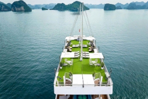 Hanoi: Ha Long Bay Tagesausflug - Luxuskreuzfahrt & Mittagsbuffet