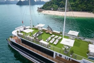 Hanoi: Ha Long Bay Tagesausflug - Luxuskreuzfahrt & Mittagsbuffet