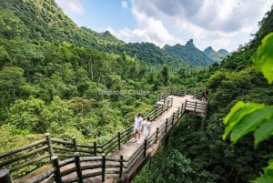 Hanoi : Ha Long Bay to Lan Ha Bay - Cat Ba Island Day Tour