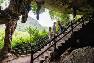 Hanoi: z zatoki Ha Long do zatoki Lan Ha – wycieczka 1-dniowa na wyspę Cat Ba