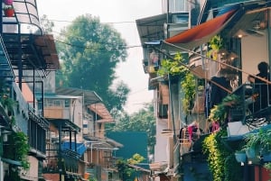 Hanoi: Puolen päivän kiertoajelu kaupungin kohokohdissa ja piilotetuissa helmissä