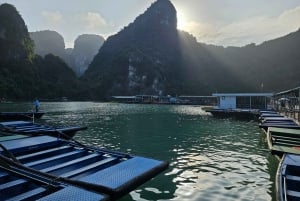 Hanoi: Crociera a 5 stelle nella Baia di Halong con pranzo a buffet e kayak