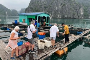 Hanoi : Croisière dans la baie d'Halong, Lan Ha, vélo, kayak, repas, bus