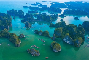 Hanoi: Crucero por la Bahía de Halong y Lan Ha con traslado en limusina