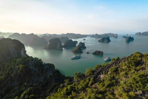 Hanoi: Crucero por la Bahía de Halong y Lan Ha con traslado en limusina