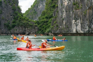 Hanoi: Cruise i Halong- og Lan Ha-bukten med limousintransport