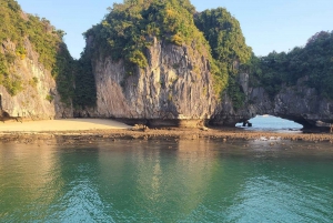 Hanoi: Crucero por la Bahía de Halong y Lan Ha con traslado en limusina