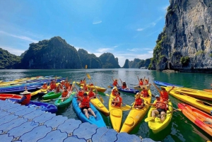 Hanoi: Cruise i Halong- og Lan Ha-bukten med limousintransport