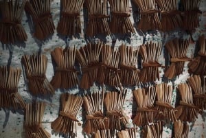 Hanoi: Handfächer-Dorf und Bambuslibellen-Dorf & Mittagessen