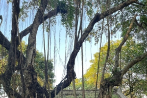 Hanoi Historical & Cultural Jeep Discovery (New Activity)