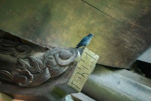 Hanoi: Świątynia Królów Hung lub Wioska Kadzideł i Wioska Kapeluszy