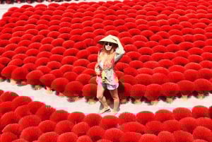 Hanoi: Røkelseslandsby, koniske hatter og Van Phuc Silk Tour