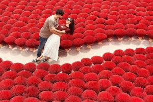 Hanoi Incense Village & Rice Cracker & Trang An Complex Tour