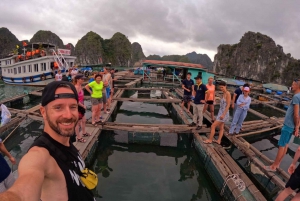 Hanoi: Lan ha bay cozy cruise: biking, kayaking, small group