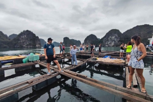 Hanoi: Crociera accogliente nella baia di Lan ha: bicicletta, kayak, piccolo gruppo