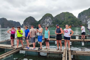 Hanoi: Crucero acogedor por la bahía de Lan ha: bicicleta, kayak, grupo reducido