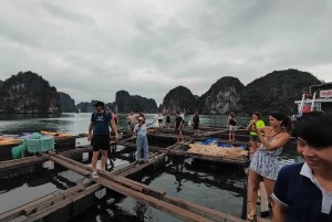 Hanoi: Lan ha-bukten koselig cruise: sykling, kajakkpadling, liten gruppe