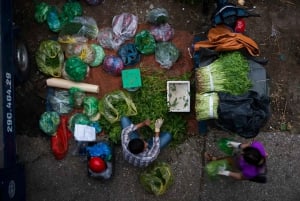 Hanoi: Fototur ved solopgang i Long Bien