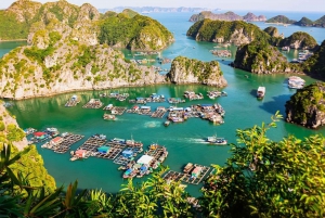 Hanoi: Lan Ha Bay Jade Sails -risteily buffetlounaalla.