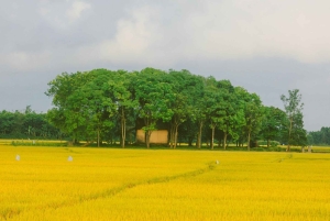 Hanoi: Moc Chau & Mai Chau 2-tägige Tour mit Mahlzeiten