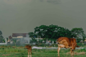 Hanoi: Moc Chau & Mai Chau 2-tägige Tour mit Mahlzeiten