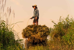 Hanoi: Moc Chau & Mai Chau 2-tägige Tour mit Mahlzeiten