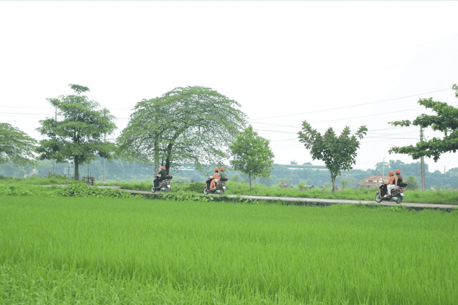 Excursión rural en moto por Hanoi