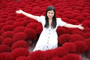 Hanoi: Musical Instrument Village Or Hat & Incense Village