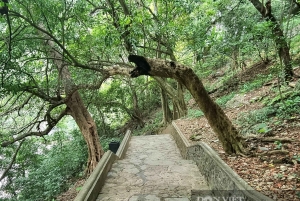Hanoi: Ninh Binh Am Tien-grottan eller Trang An, Mua-grottan och Hoa Lu