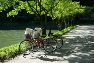 Hanoi: Ninh Binh Am Tien-grottan eller Trang An, Mua-grottan och Hoa Lu