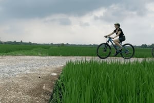 Hanoi: Ninh Binh, Ha Long & Lan Ha Bay - 3-tägige Luxuskreuzfahrt